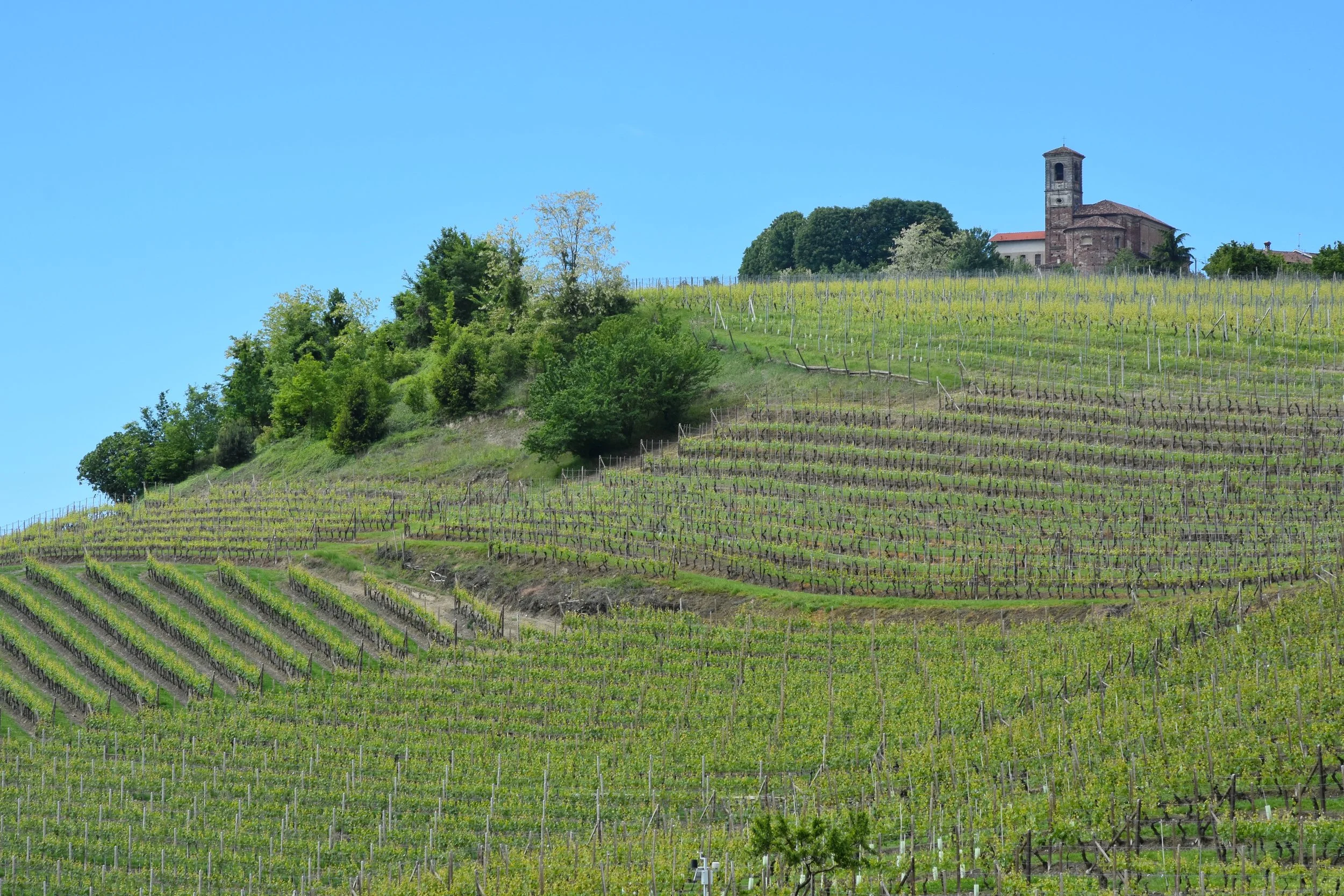  Verduno from the east - Barolo region 