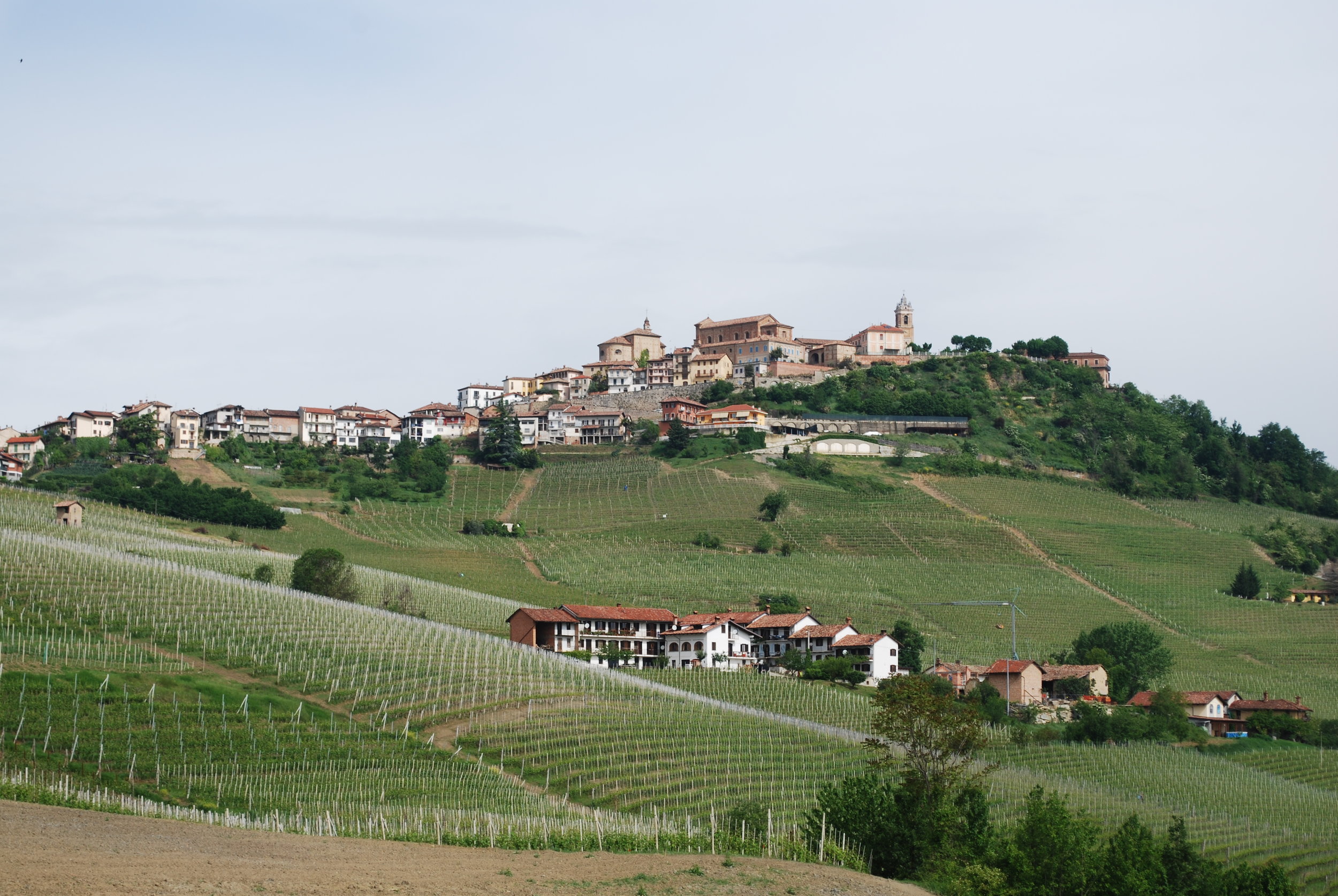  La Morra from the east 