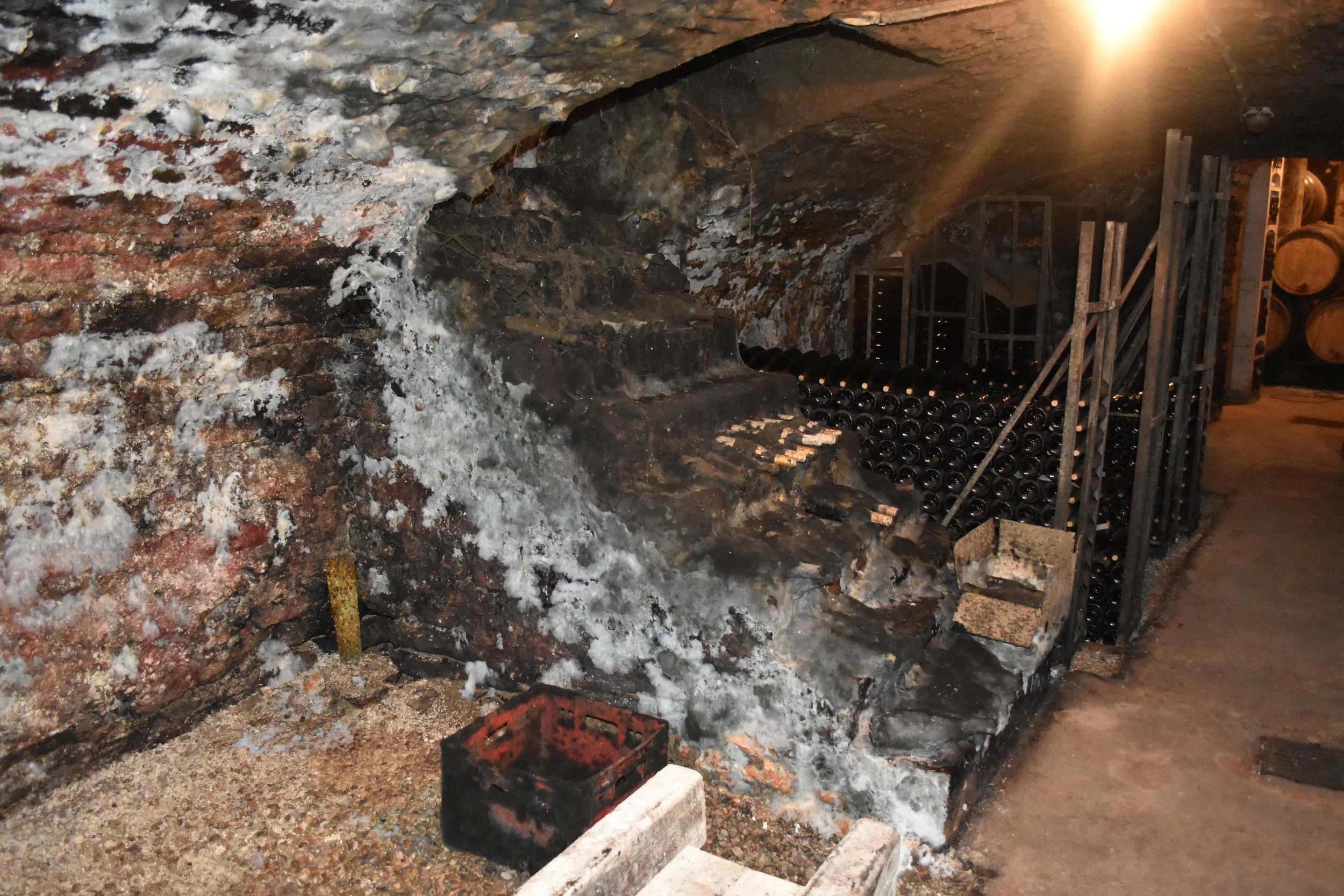  Lafarge cellar in Volnay 