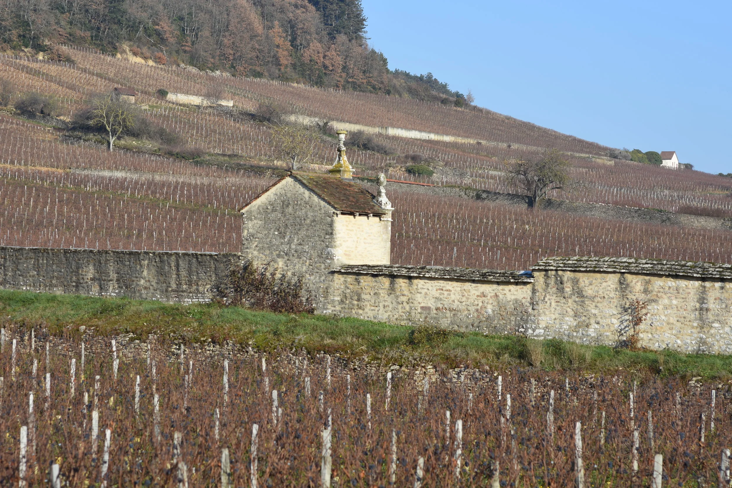  Clos St Jacques with Cazetiers beyond 