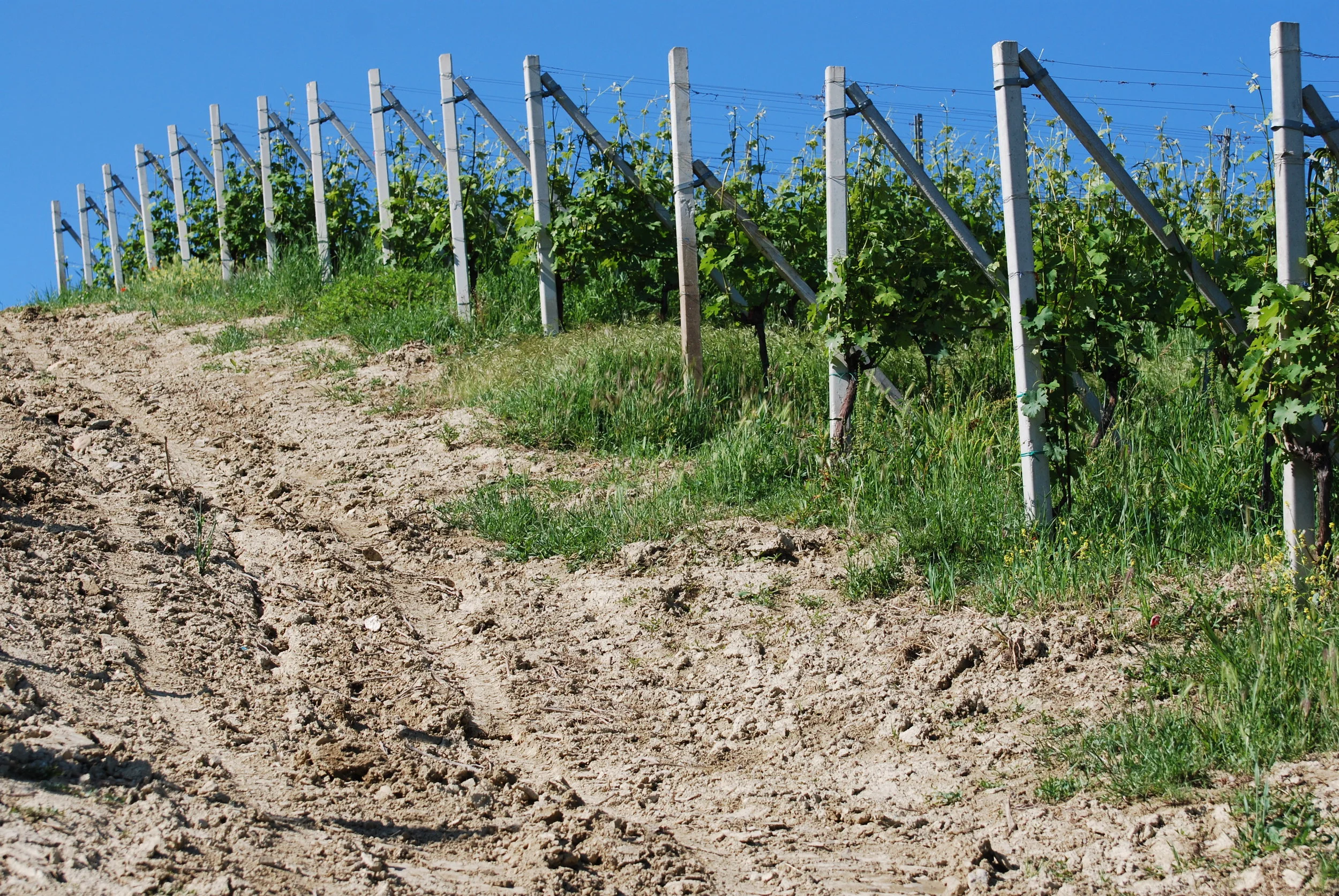  Brunate - Barolo Region 
