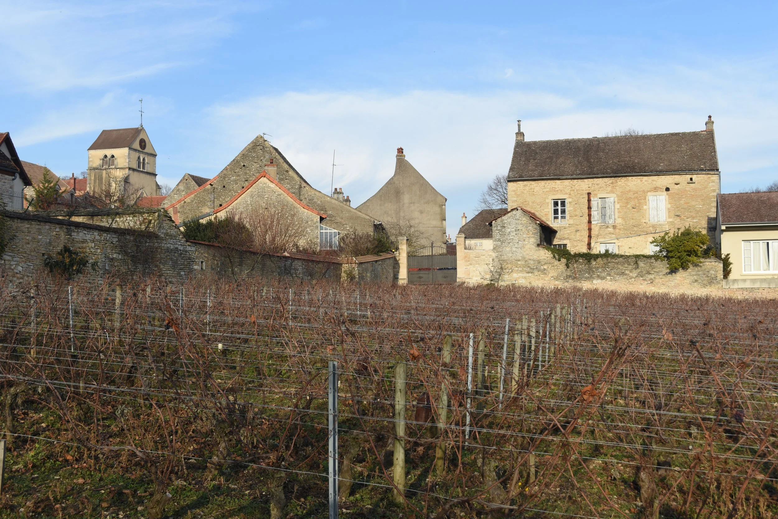  Volnay from Clos de Chateau de Duc 