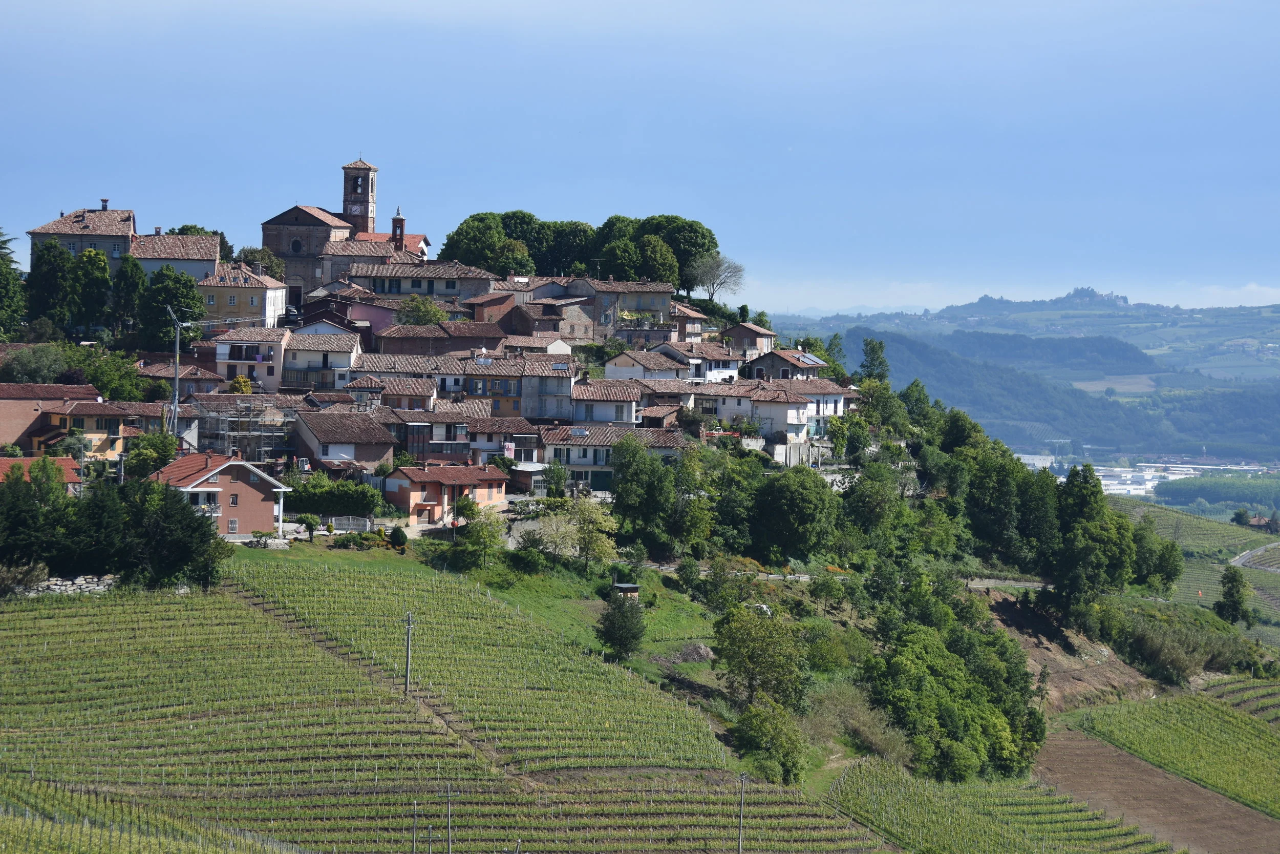  Verduno in Barolo Region 