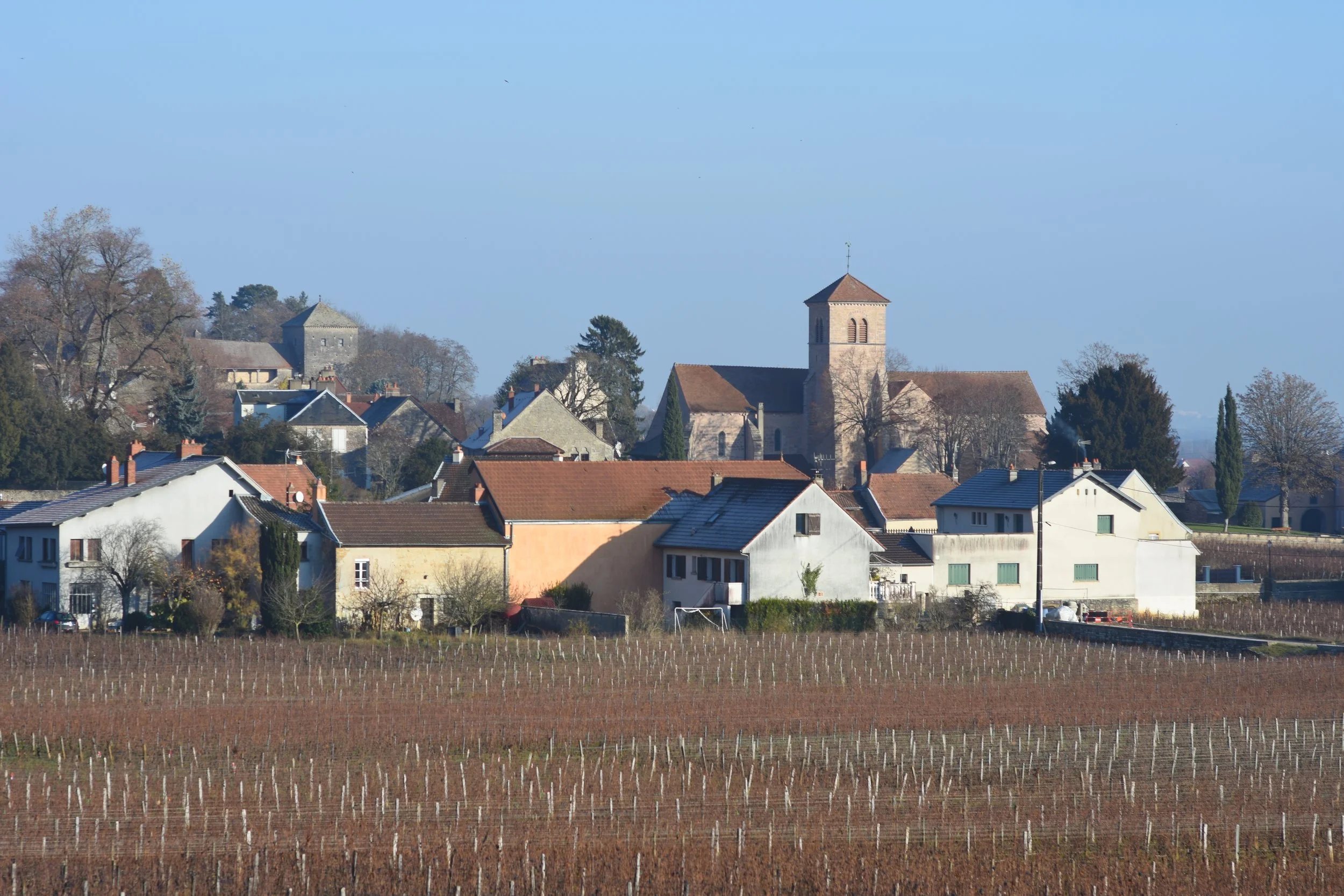  Gevrey Chambertin 