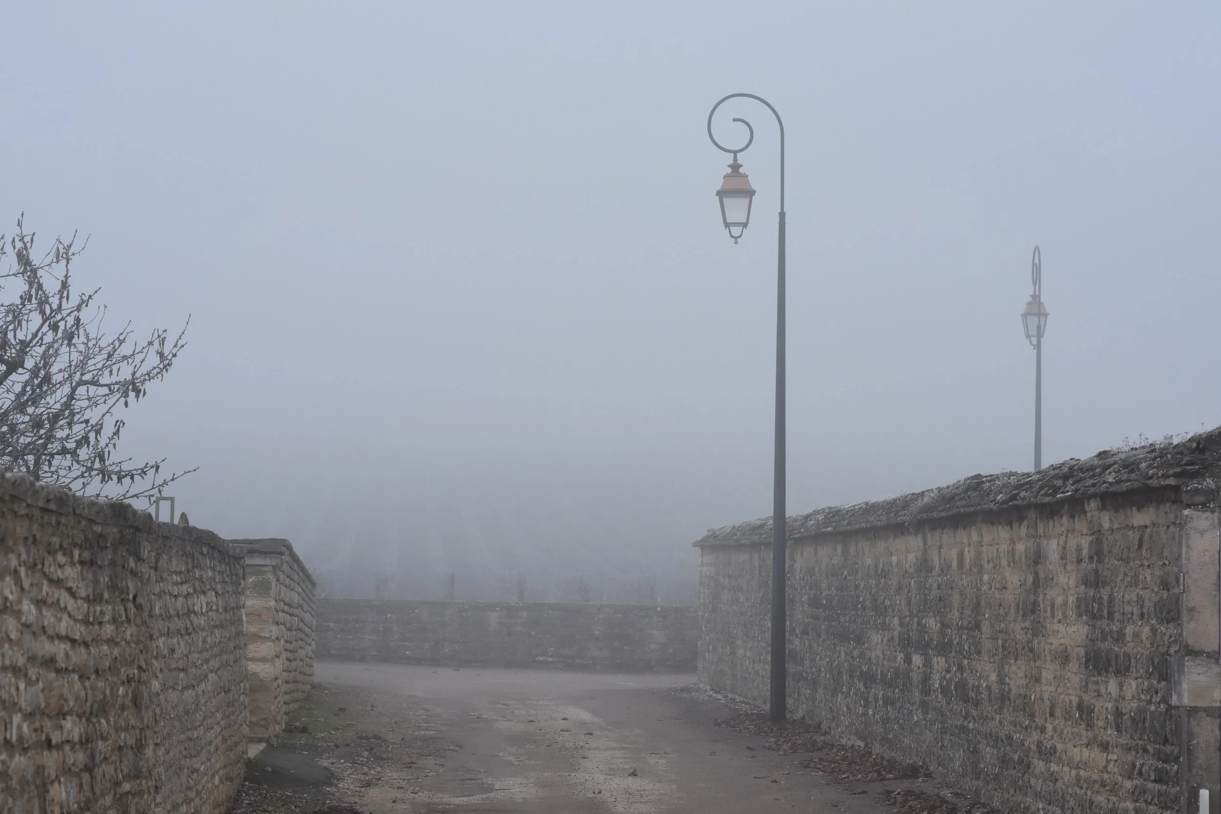  Vosne Romanee - looking towards the bottom of La Tache 