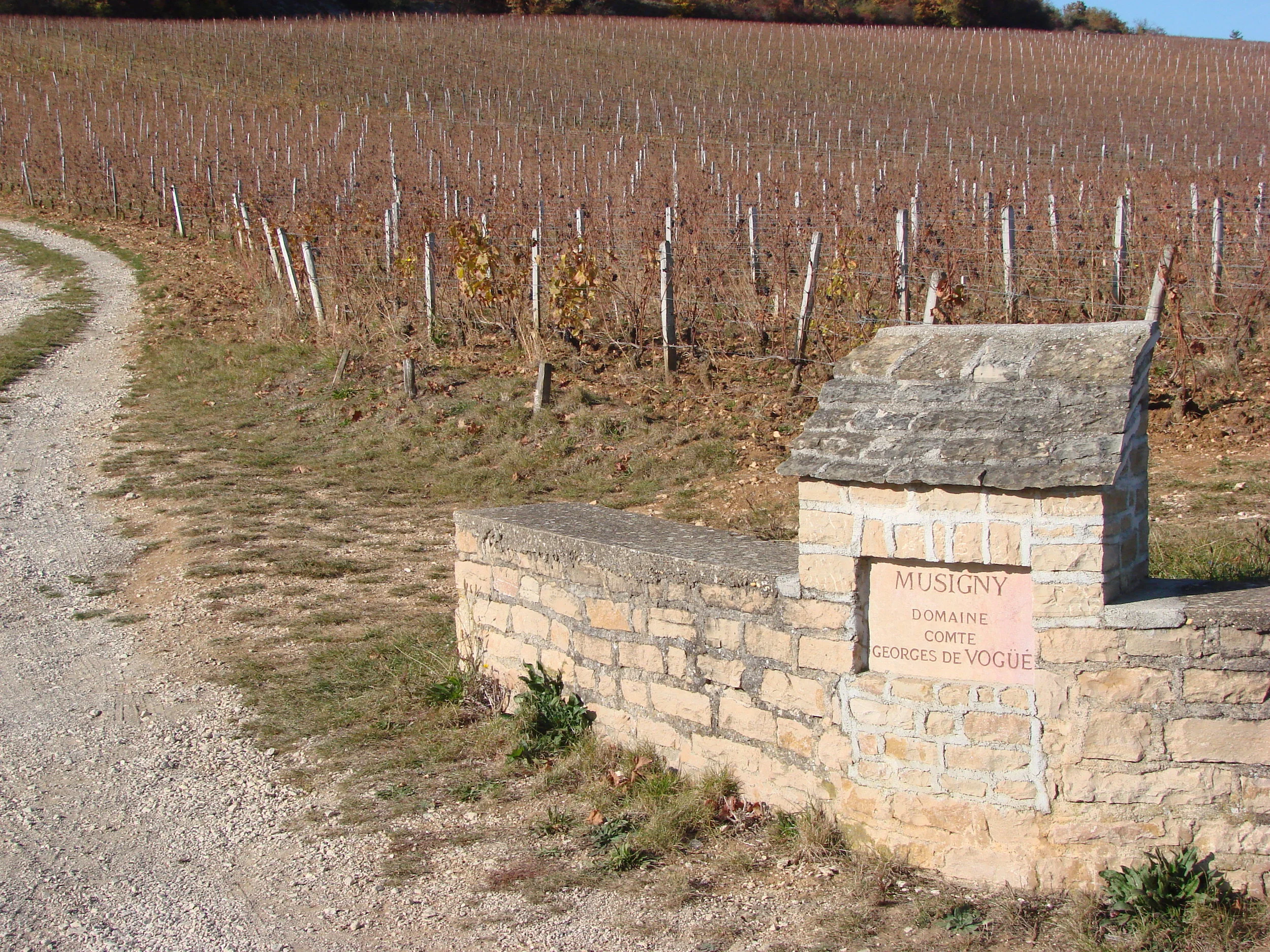  Musigny 