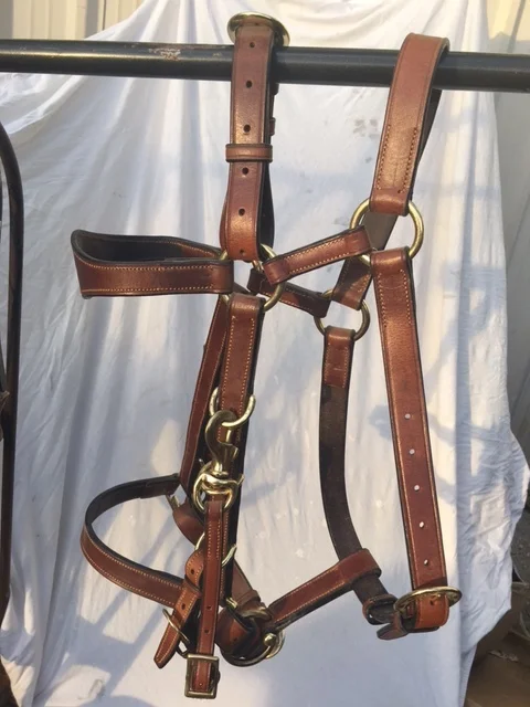 The traditional Halter Bridle from the Australian bush. It has been around for a couple of hundred years, ever since the delicate, traditional Crown-issued English bridles snapped under rugged use. The bit is attached either using the snap, for quickness, or the short buckle and strap, which takes longer, but there is less rattle of a metal snap on a metal ring! (If you are moving cattle at night that you don't own, being quiet is a good idea!)