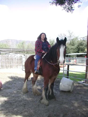 THIS IS CAROLYN BERRY, WITH HER 2,000lb HORSE 'GAVIN' FITTED WITH A FLEECE-LINED WOOD/STEEL/TREE SADDLE MADE BY COLIN. SHE SAYS "WE LOVE IT." SAYS COLIN: "IF IT HAS FOUR LEGS AND MAKES HORSE NOISES, I CAN FIT IT !!!"