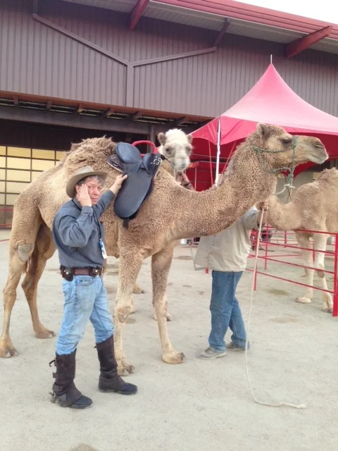 Another example of a saddle that does NOT FIT!!! .