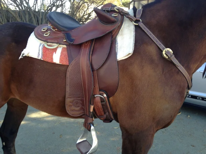 Colin Dangaard Australian saddle