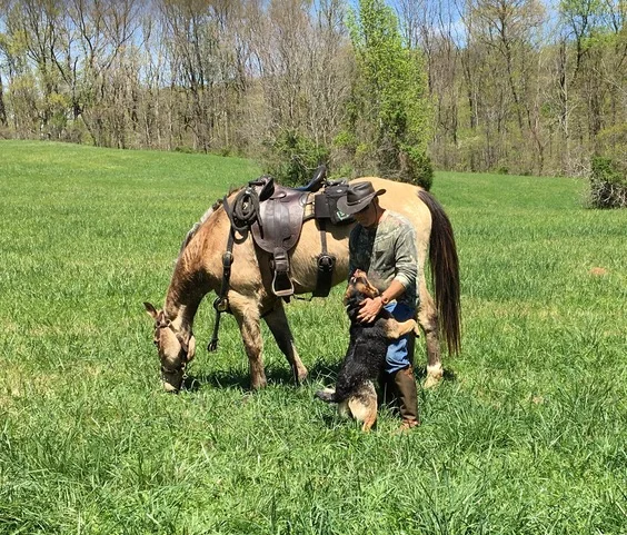 Jody, Remington in a Patrol Poley, and Blaze the Blue Heeler