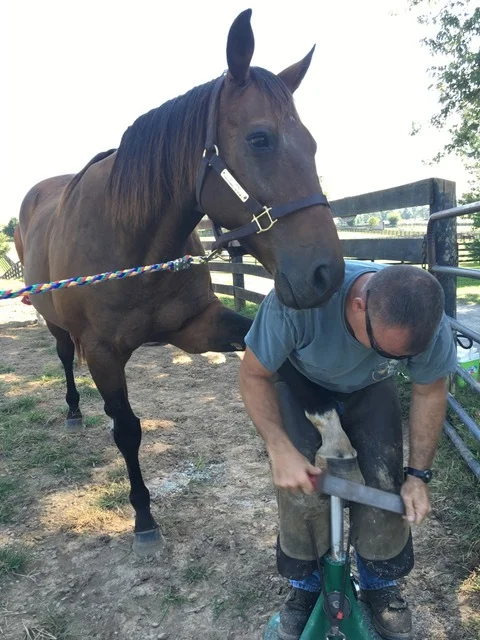 Jody working on one of the horses that played in the movie Sea Biscuit - his name is Popcorn Delight