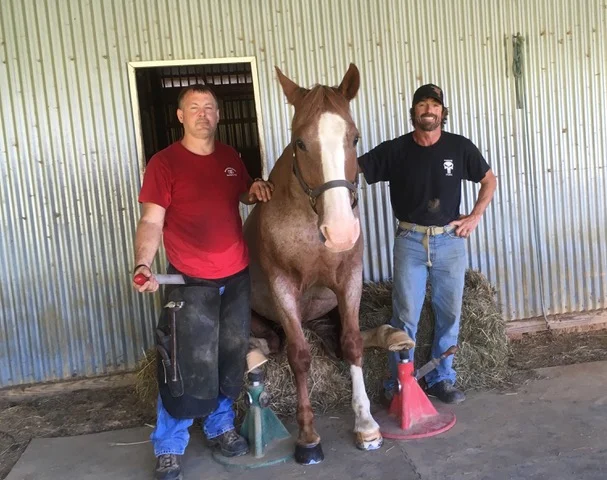 Jody and Blade (the horse on the “Walking Dead TV series) with his trainer/stuntman Tommy Turvey