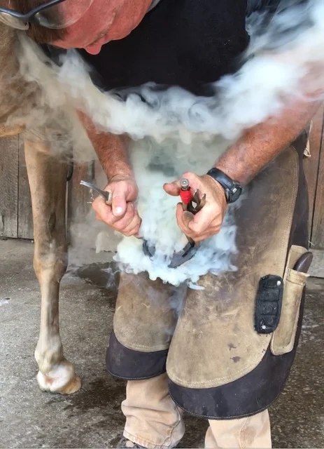 hot shoeing.jpeg