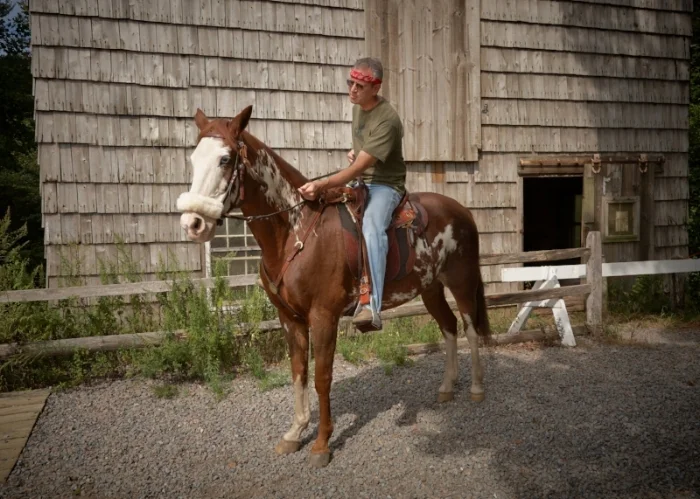 Ron Goodmark's horse Tucson likes his Southern Cross Poley Australian saddle
