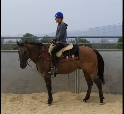 Training in the round pen....