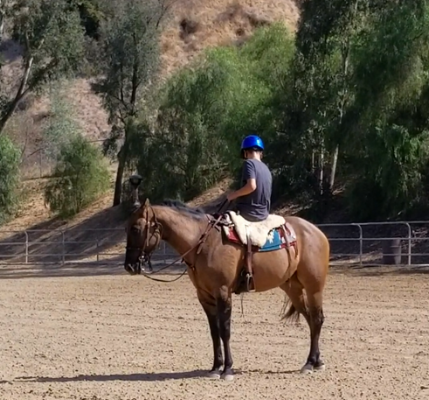 Gunner being ridden silly by Billy Armstrong on the Aussie Saddle