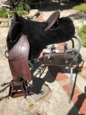 black Colin Dangaard bareback saddle