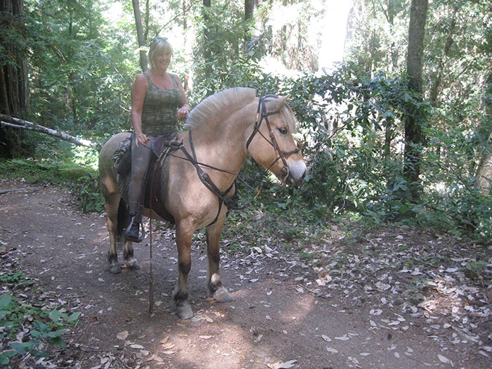 Beth Hamil on her Norwegian Fjord mare Martina
