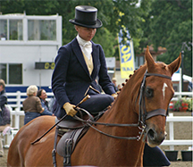 Concours d'Elegance