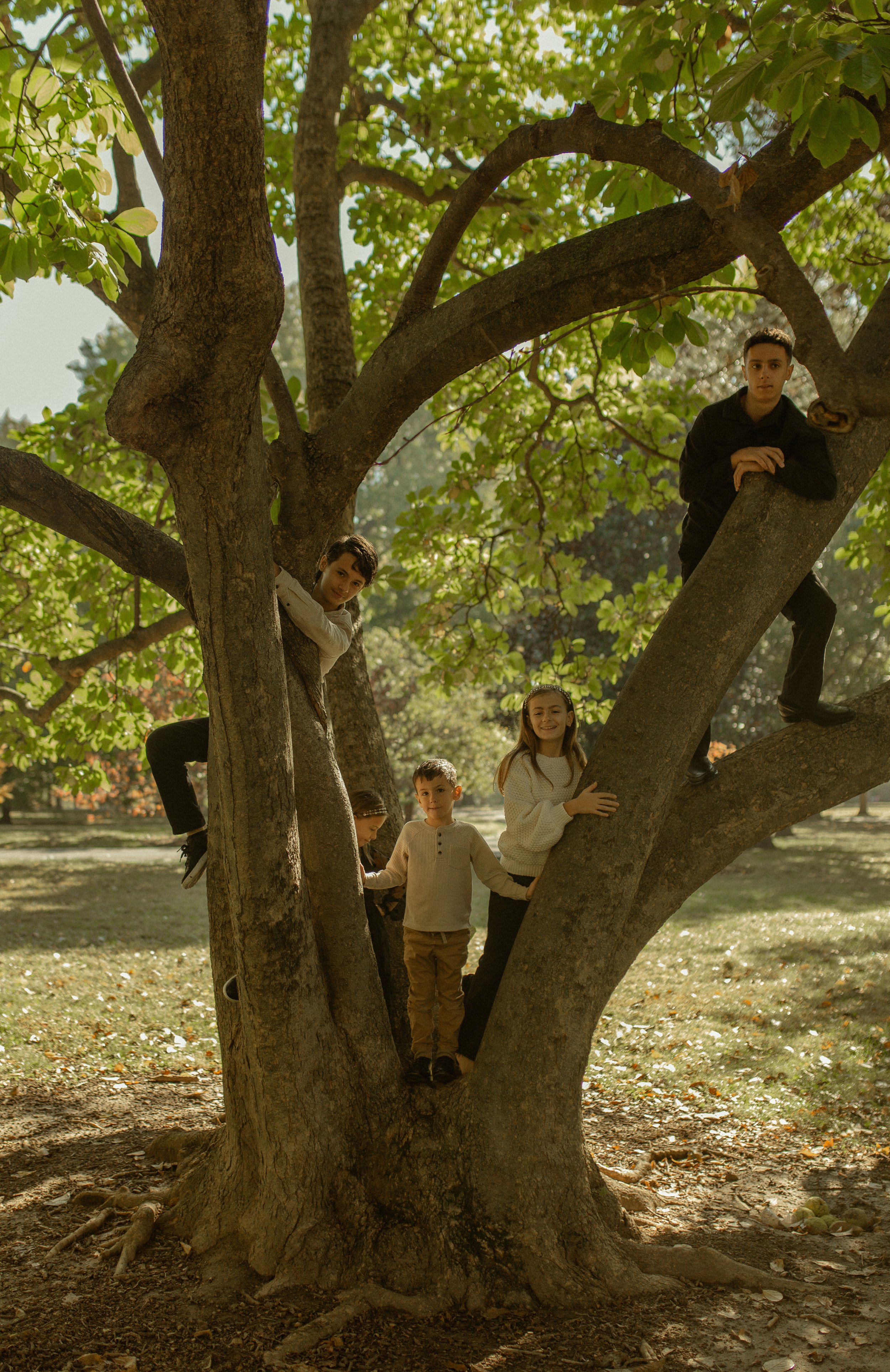 Missouri Cinematic Family Photo Session 