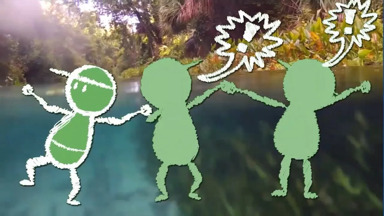 Rabbit with Music Final.mp4_snapshot_00.41.jpg