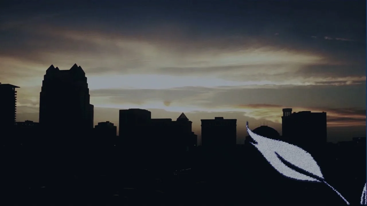 Rabbit with Music Final.mp4_snapshot_07.45.jpg