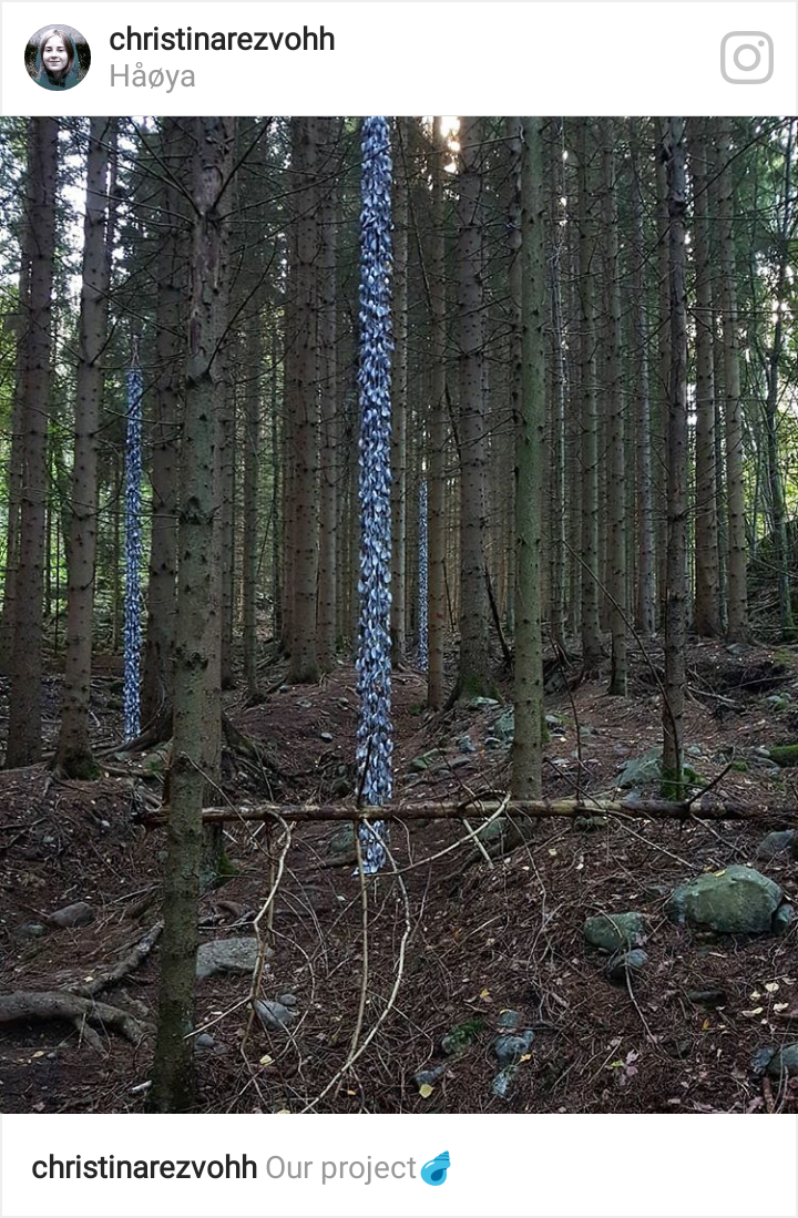 Photo by Christina Rezvöhh of students’ project.