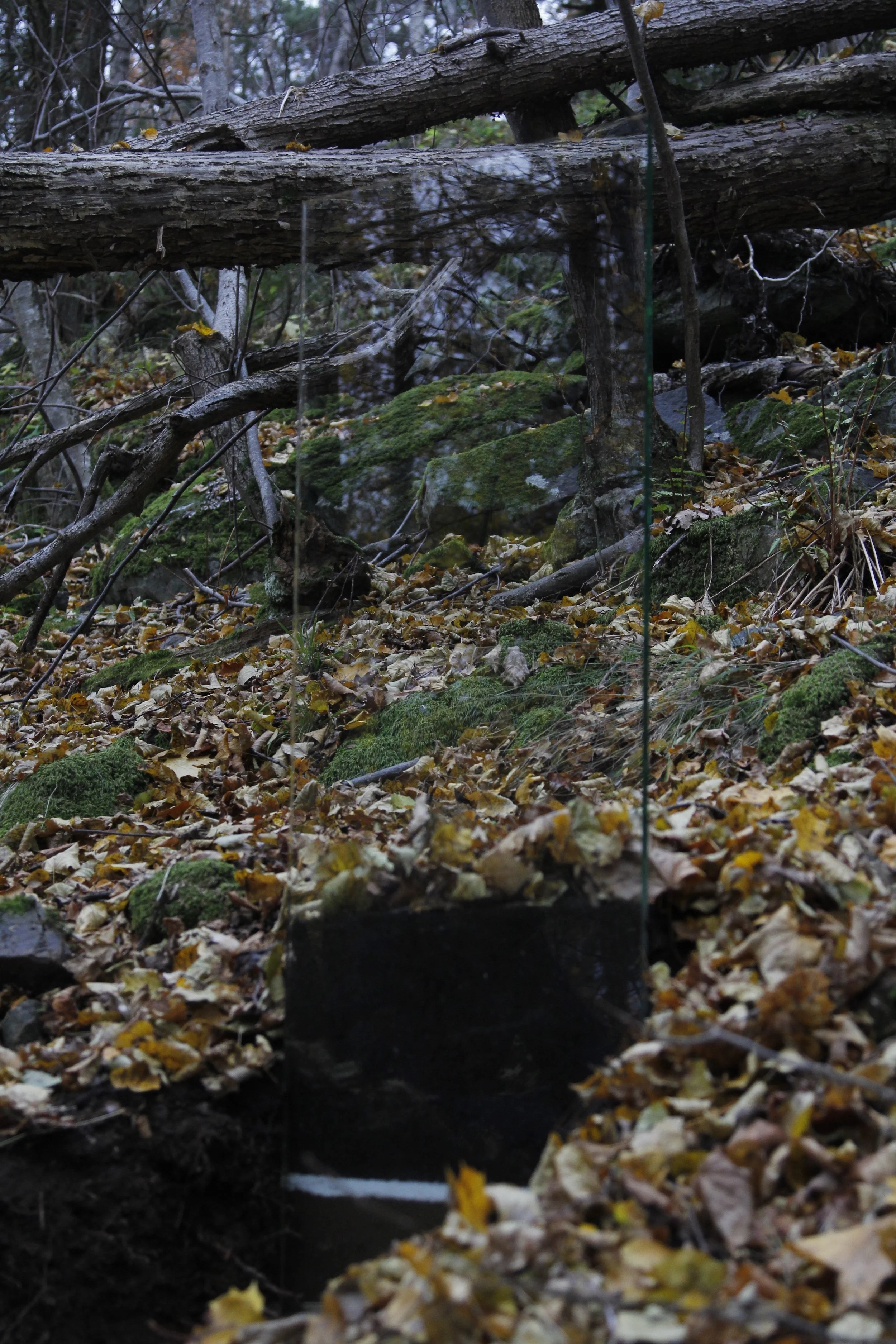 Håøya_photo by Jan Hajdelak.JPG