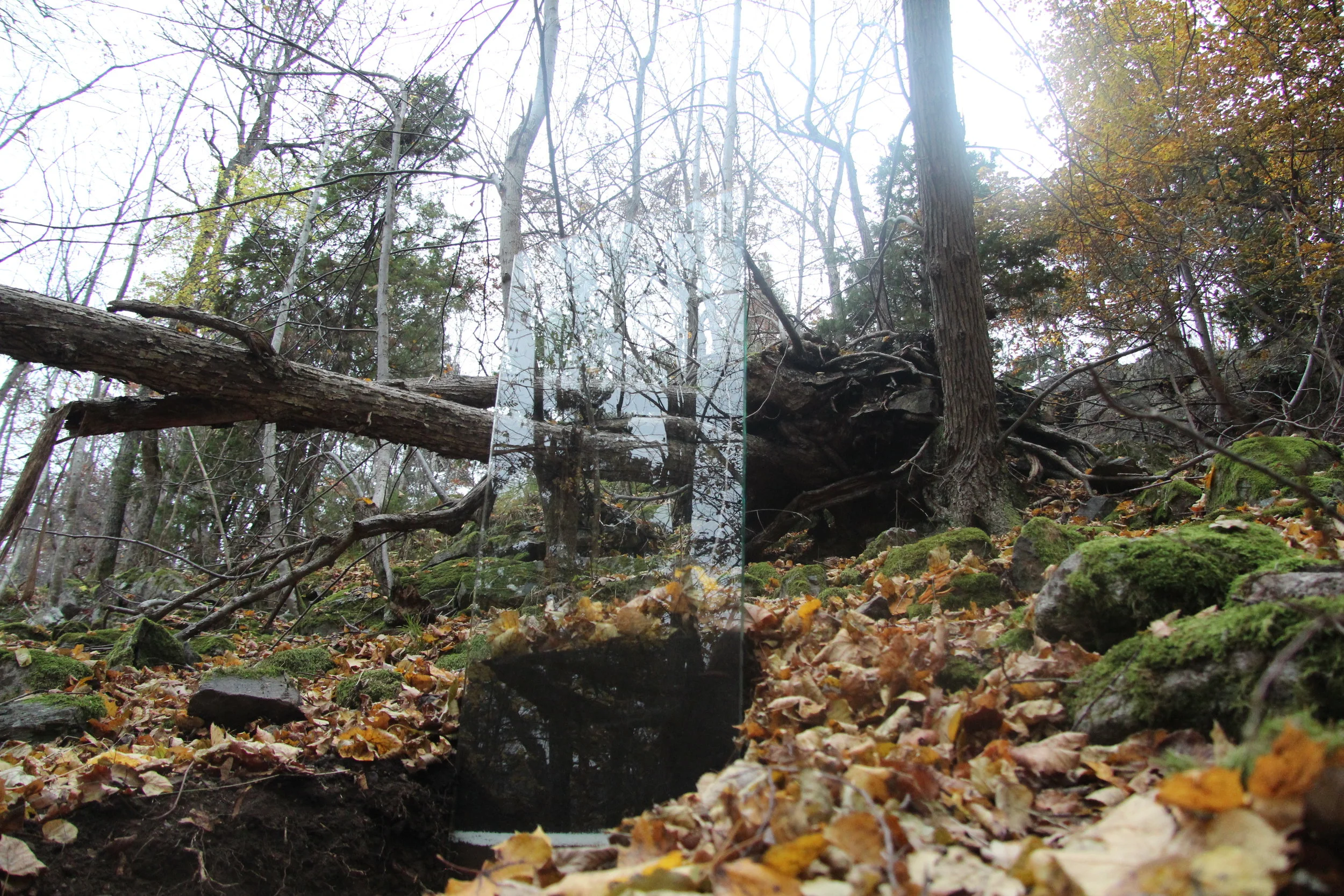 Håøya_photo by Inga Aleknaviciute.JPG