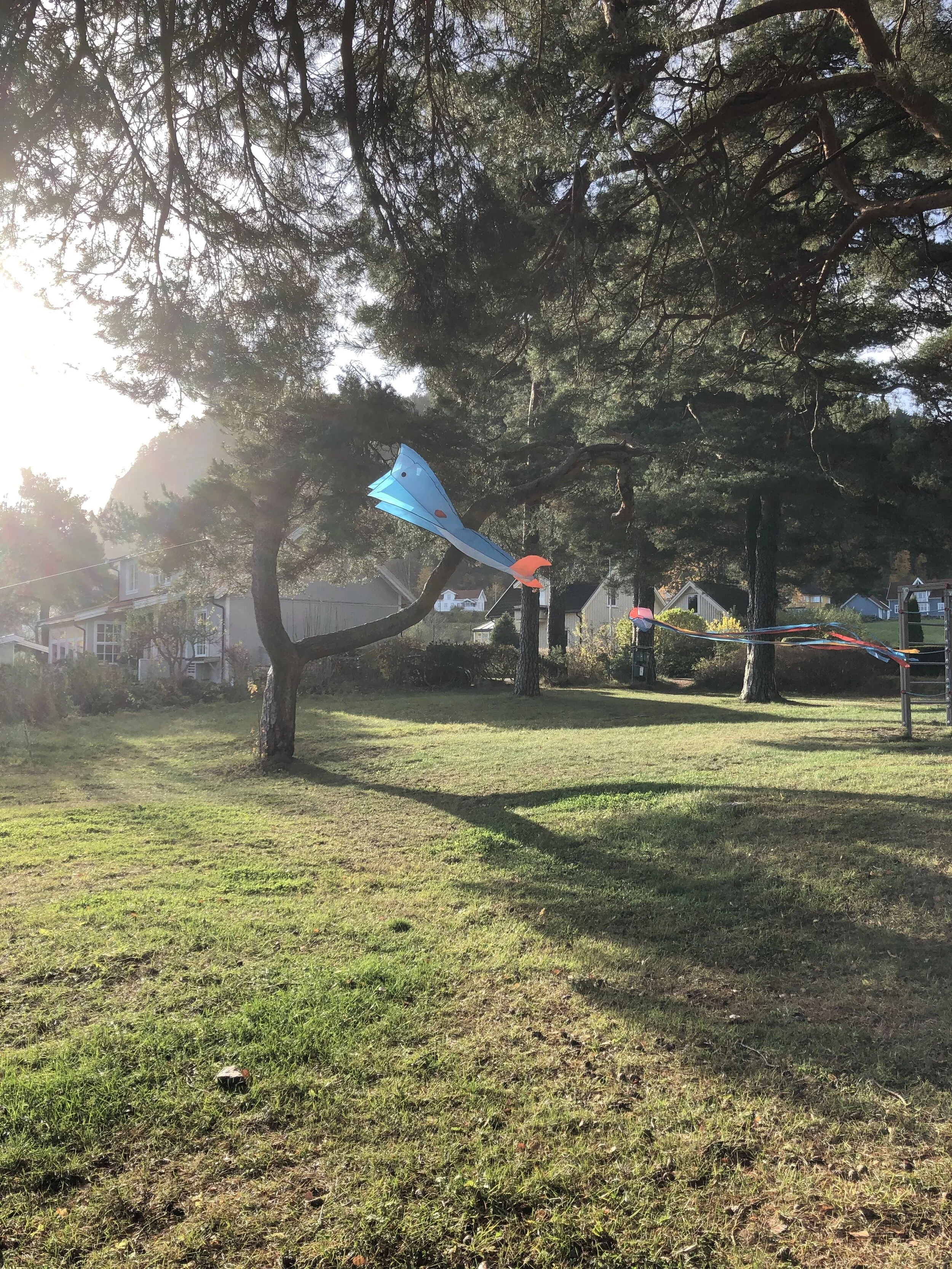 Bilde 28.10.2020, 12 55 23.jpg