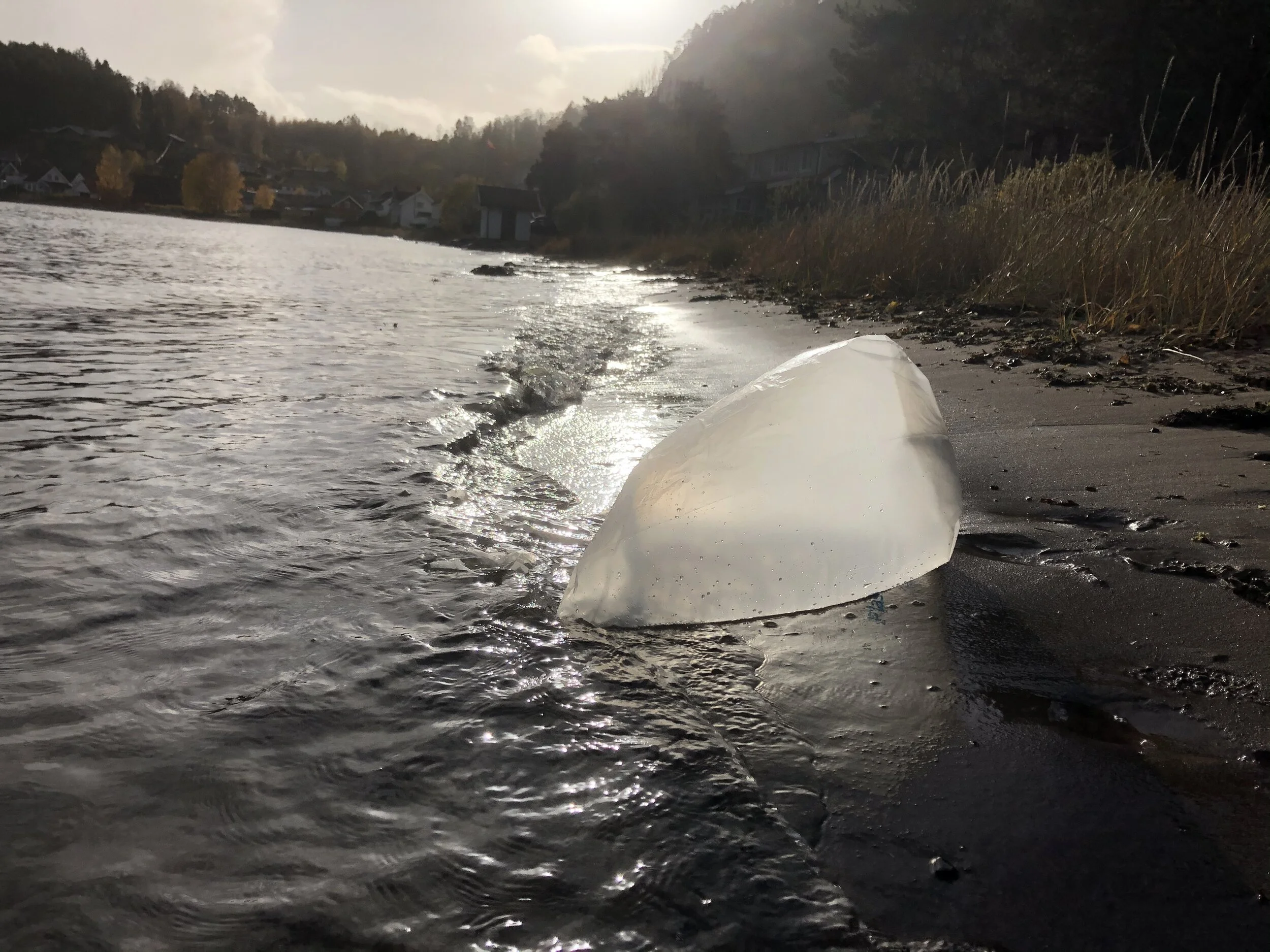 Bilde 28.10.2020, 13 29 26.jpg