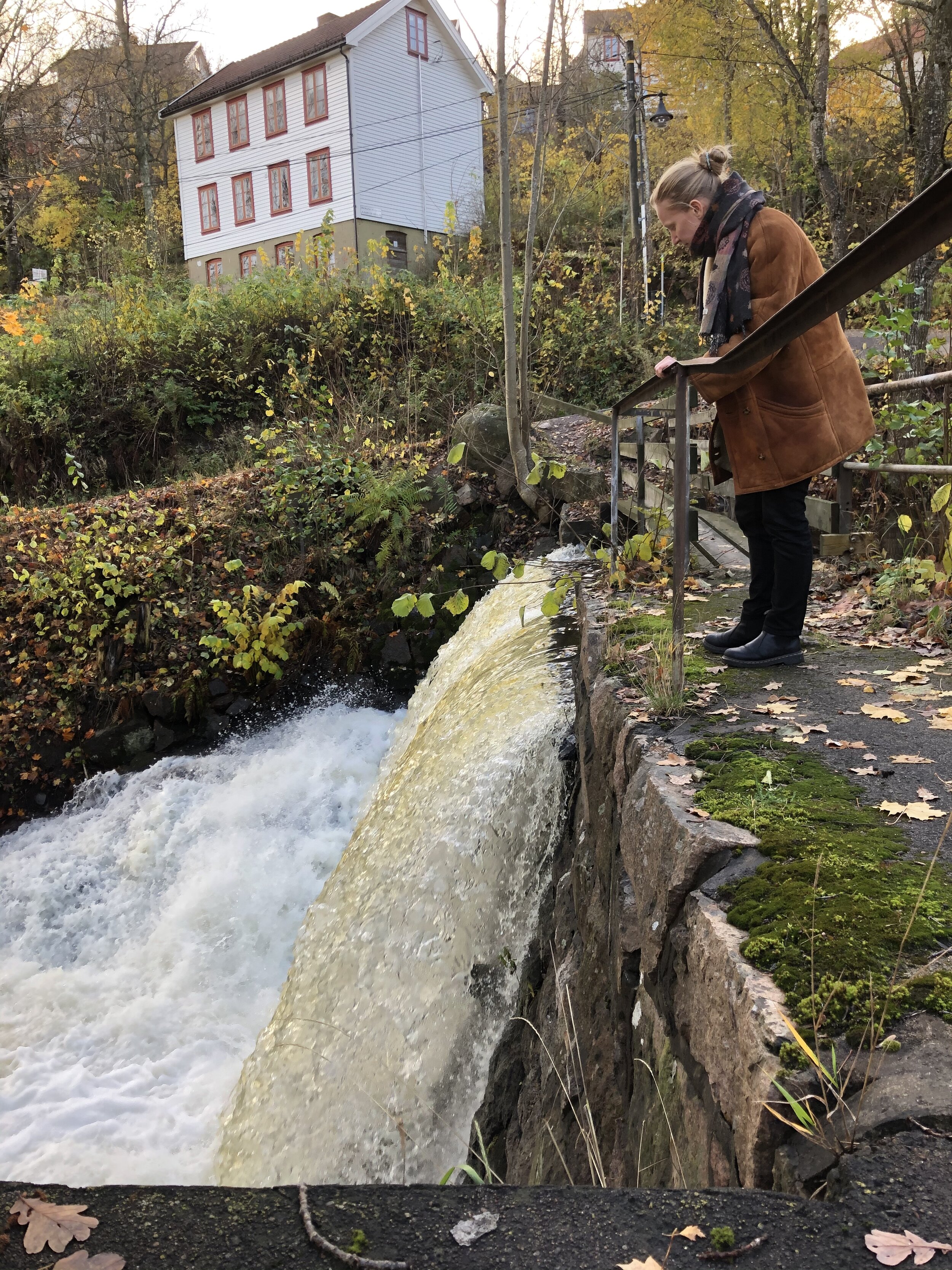 Bilde 28.10.2020, 14 02 37.jpg