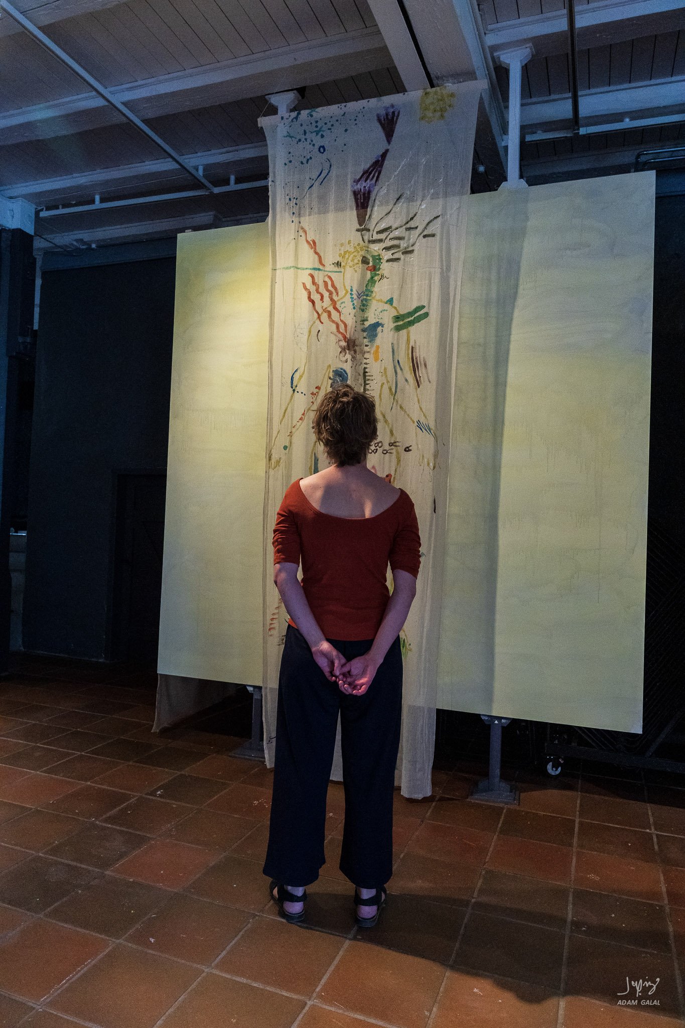 13-finne ro i en annens kropp - Visitors-13.jpg