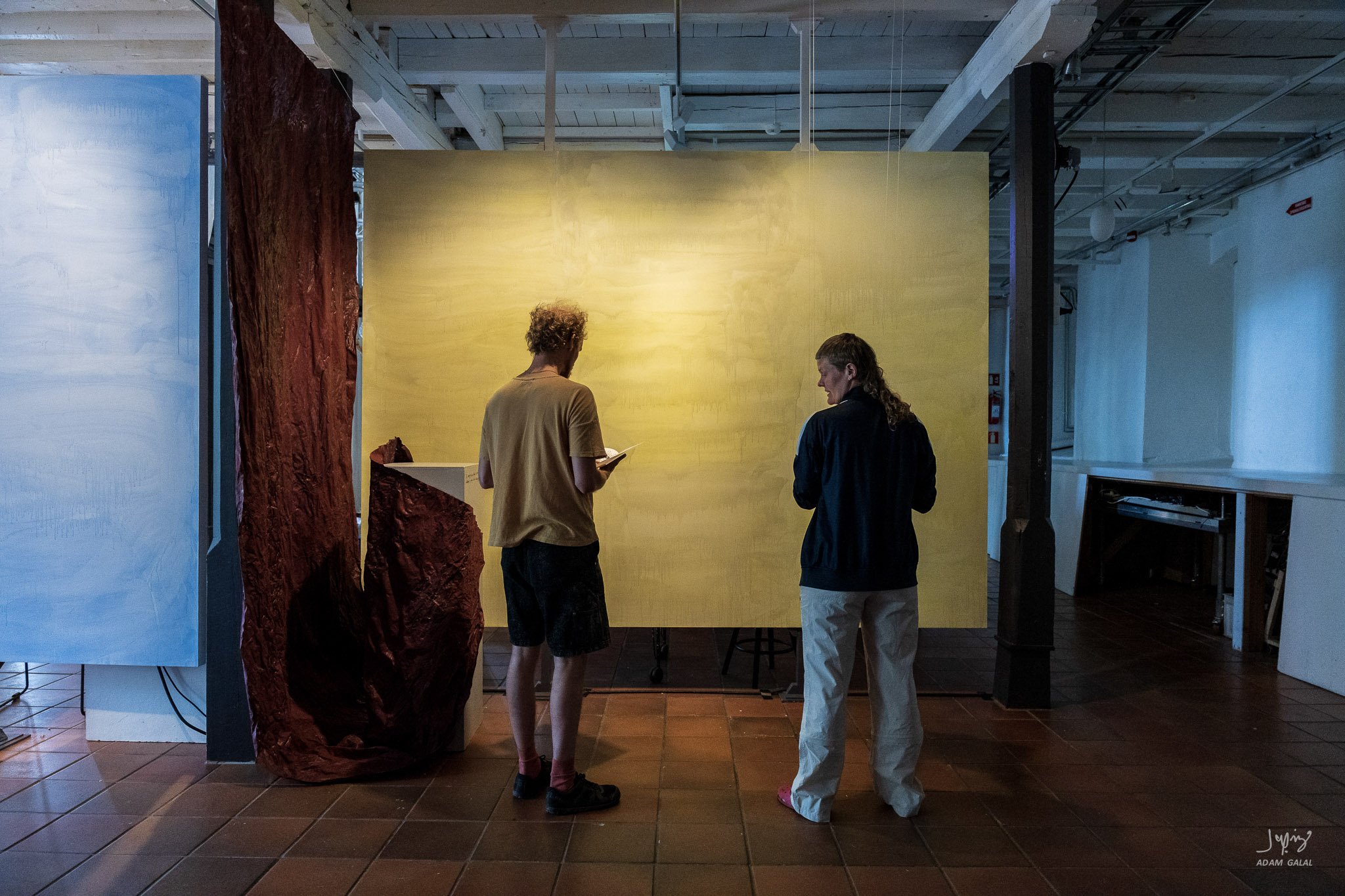 2-finne ro i en annens kropp - Visitors-2.jpg