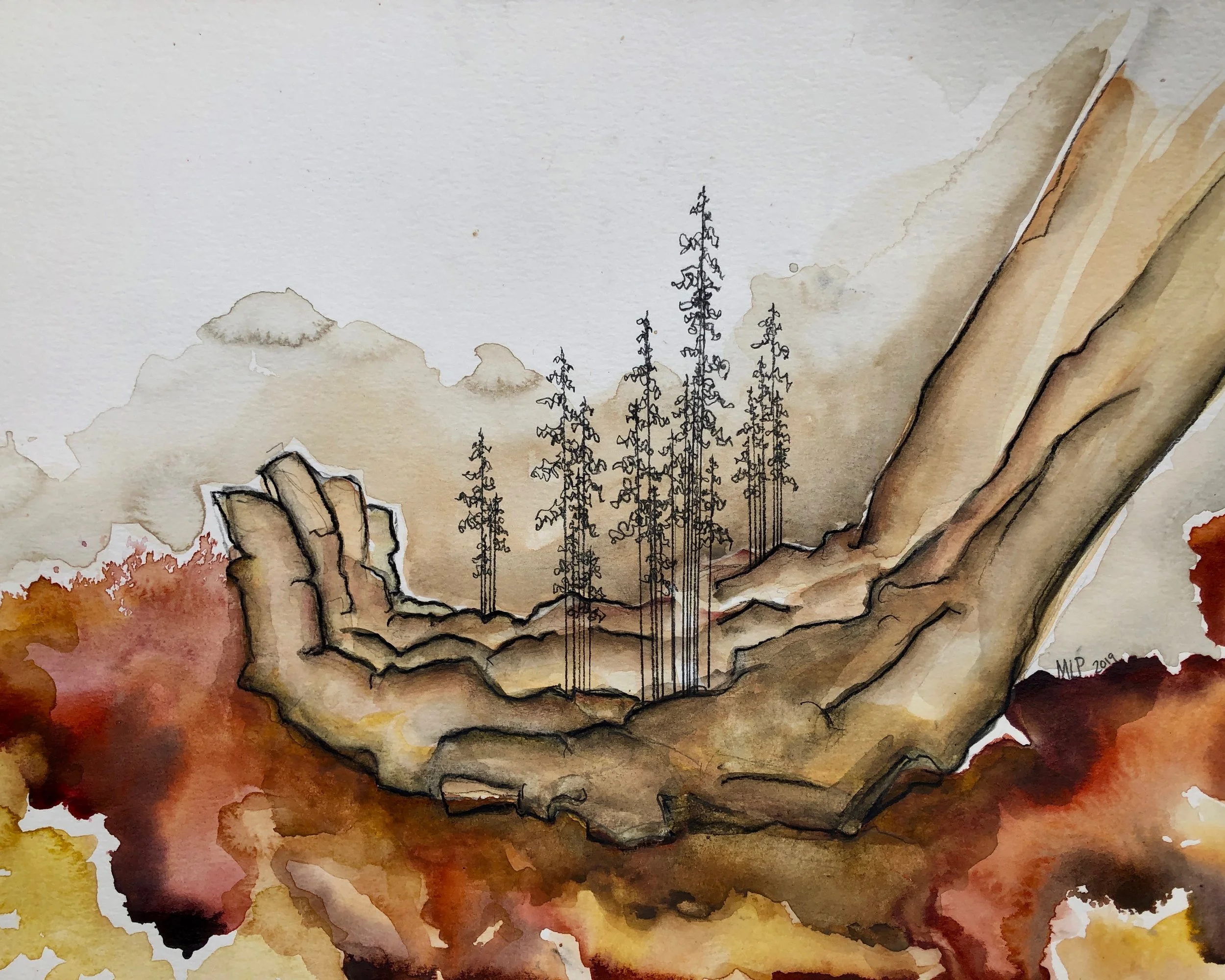 NW Tree Series