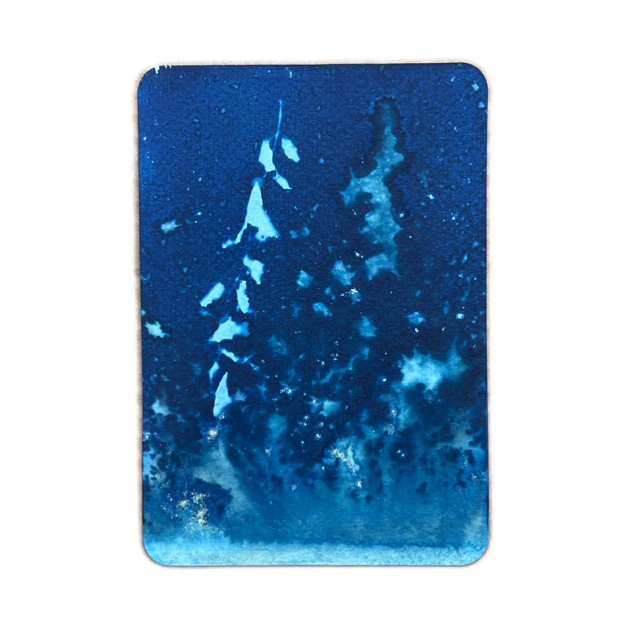 I’ve been a forest fire.jpeg