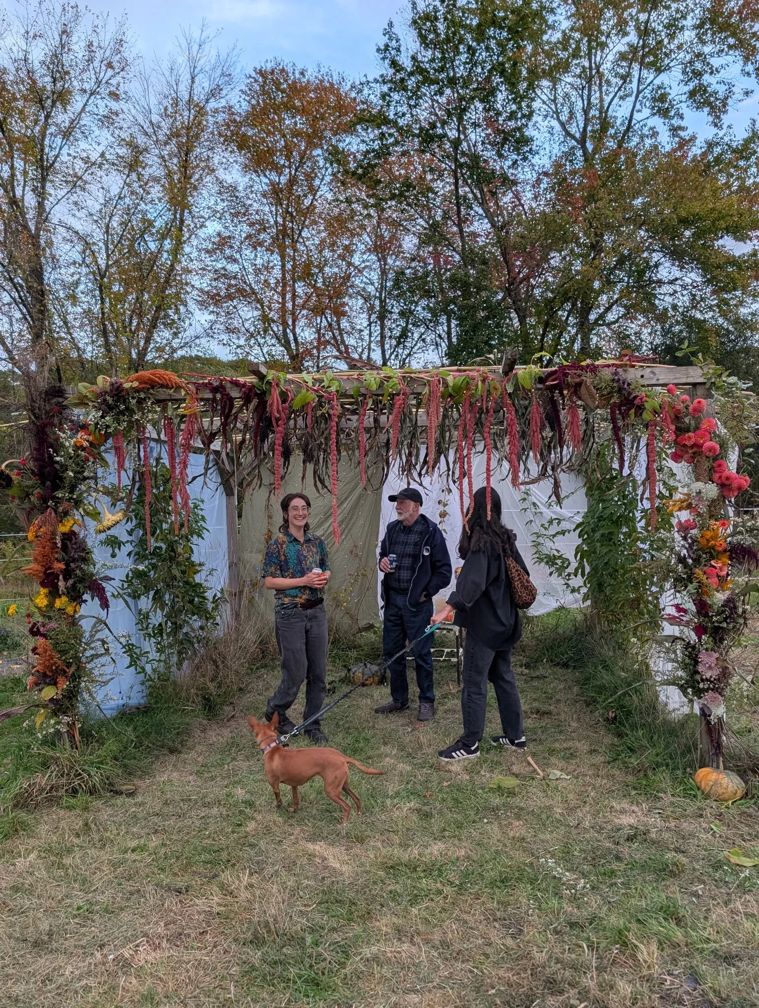 IMG_20251019_125058 (2).jpg