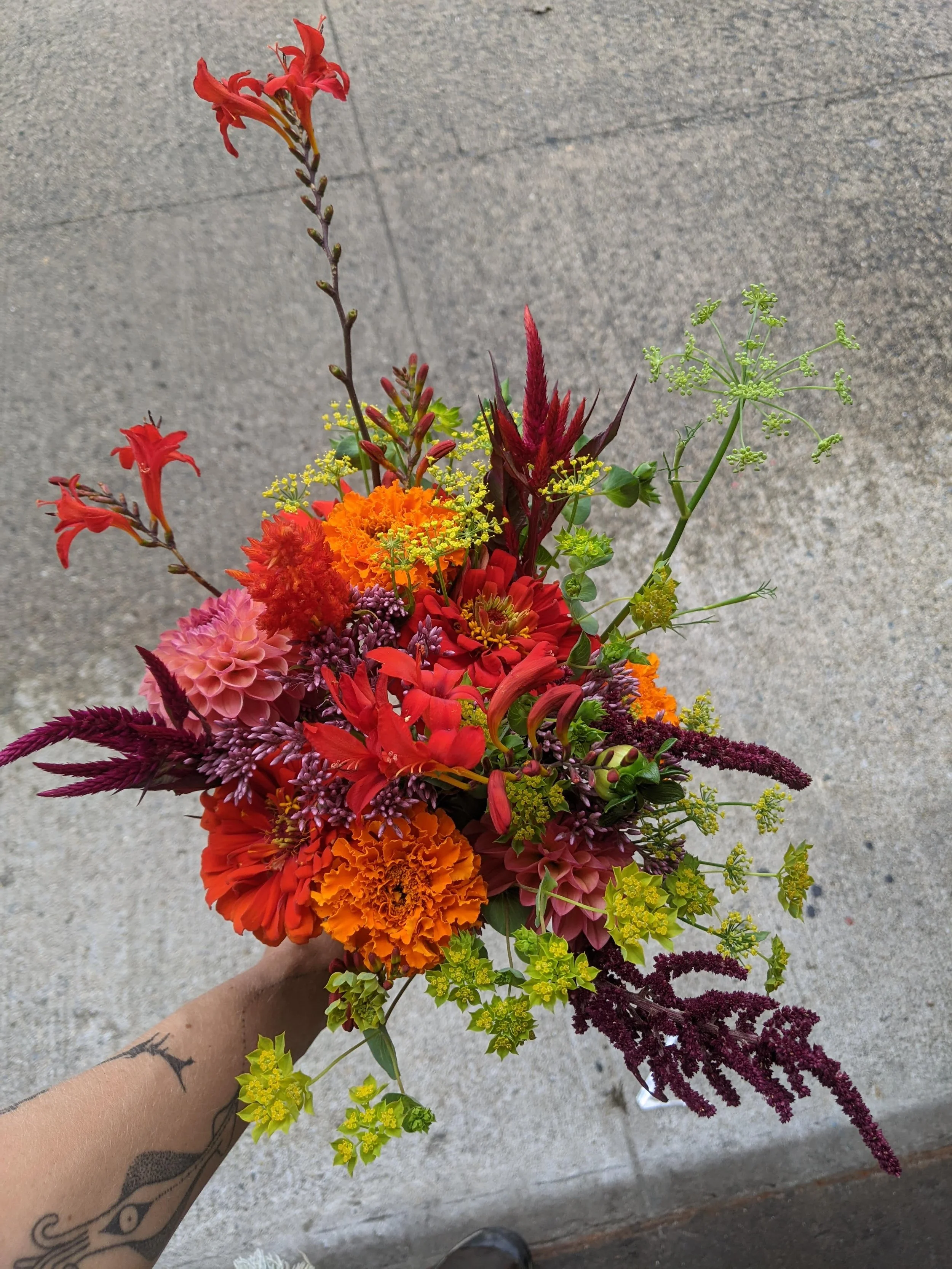 PXL_20230810_195029216 (1).jpg