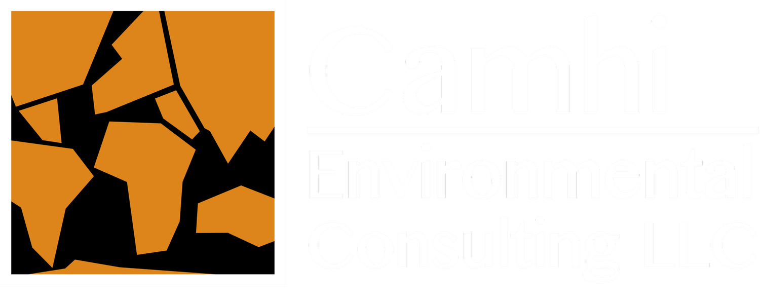 Camhi Environmental Consulting LLC