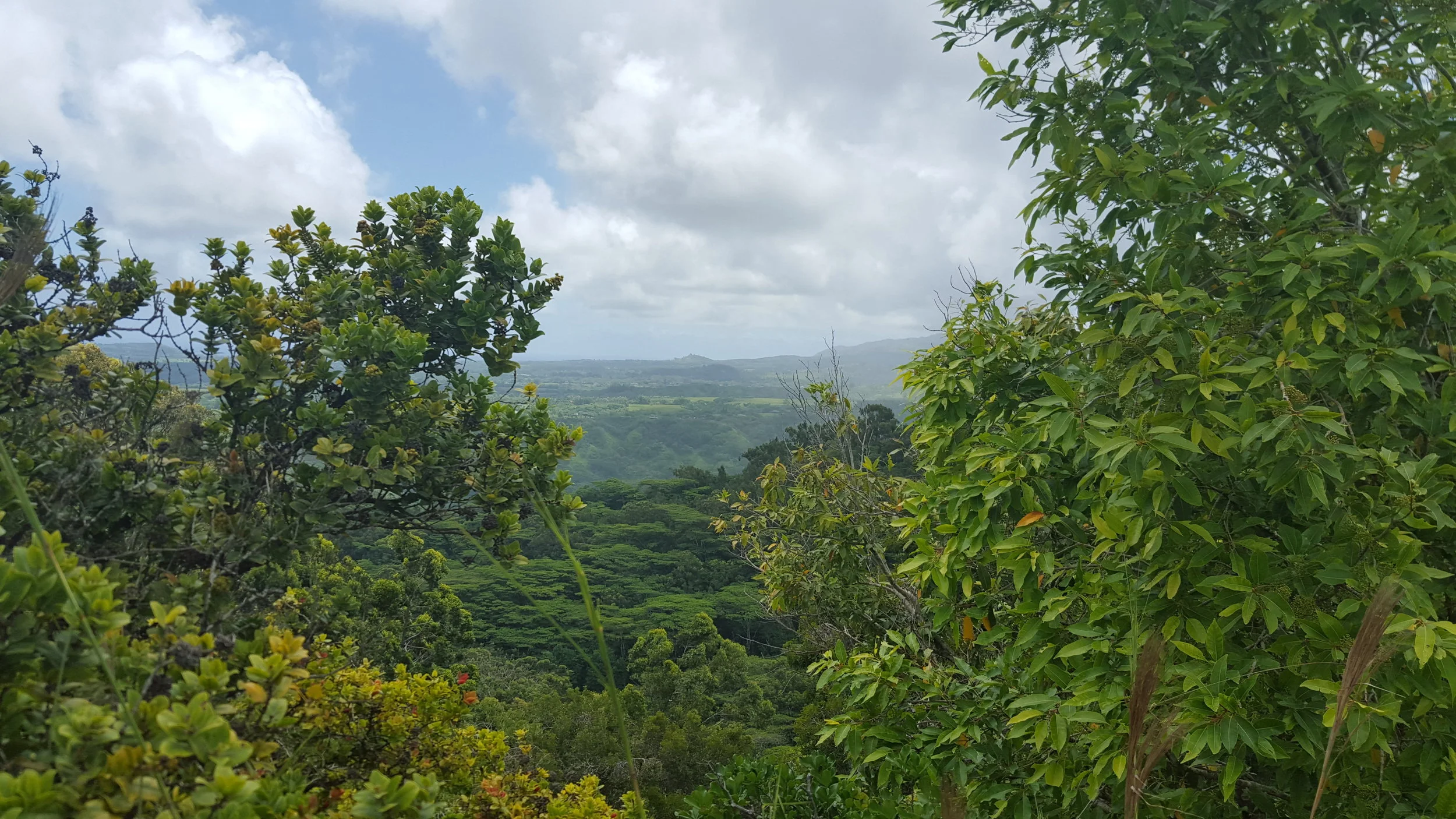 2015-07-14 11.46.53.jpg