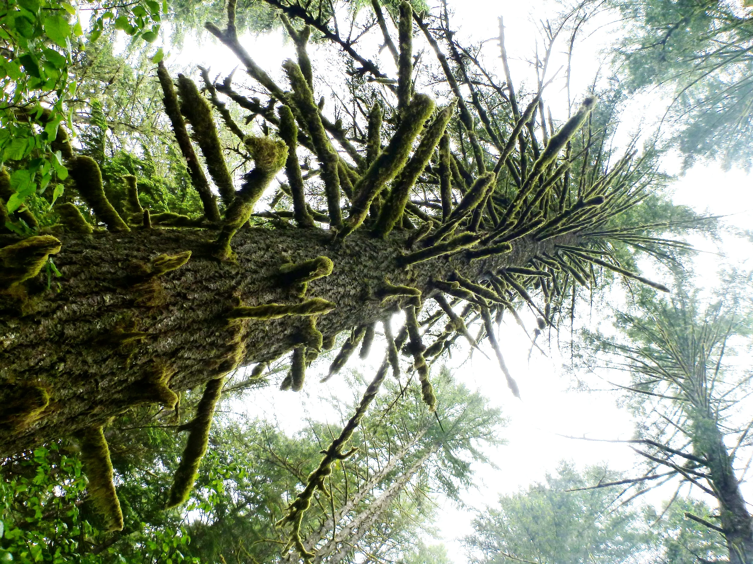 2012-06-30 19.24.14.jpg