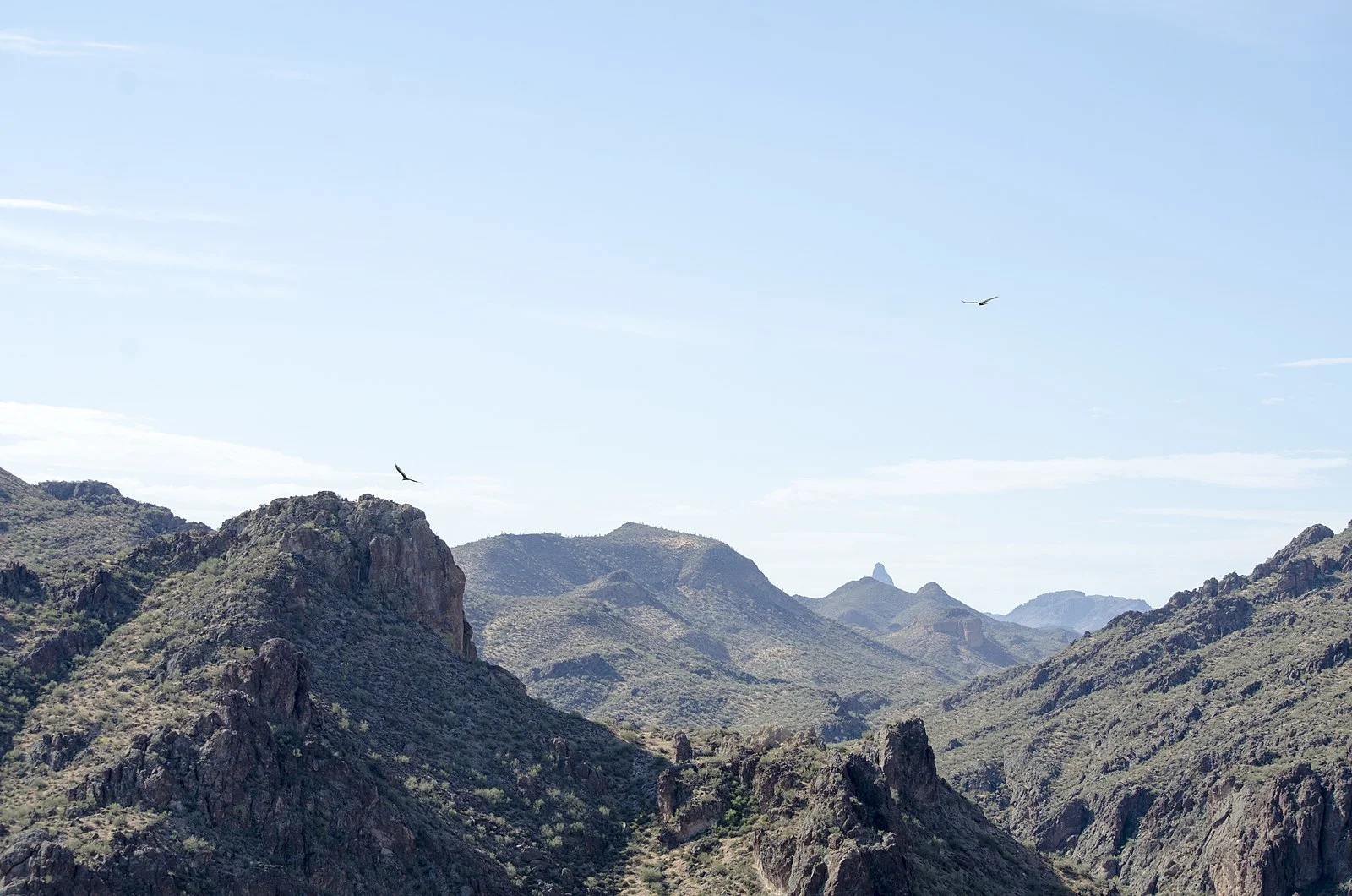 1600px-Eastern_View_from_Mt_Pinter,_Tonto_National_Forest,_Arizona_-_panoramio_(1).jpg