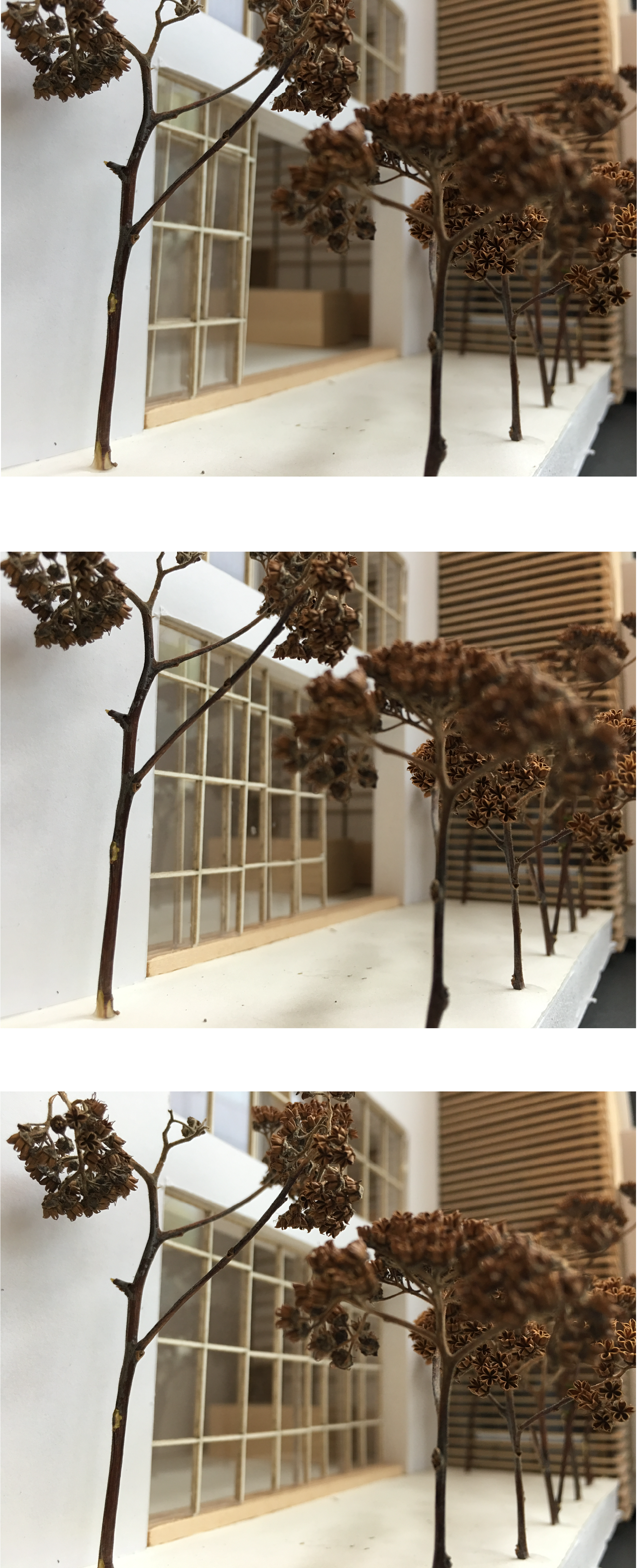 Garden Model