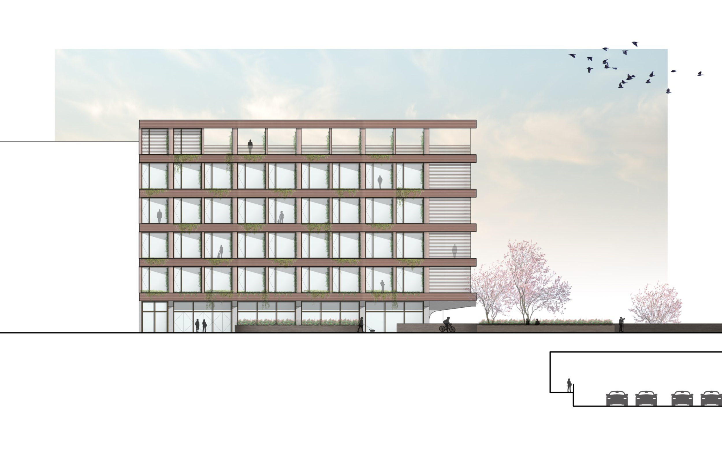 Summer Street Elevation