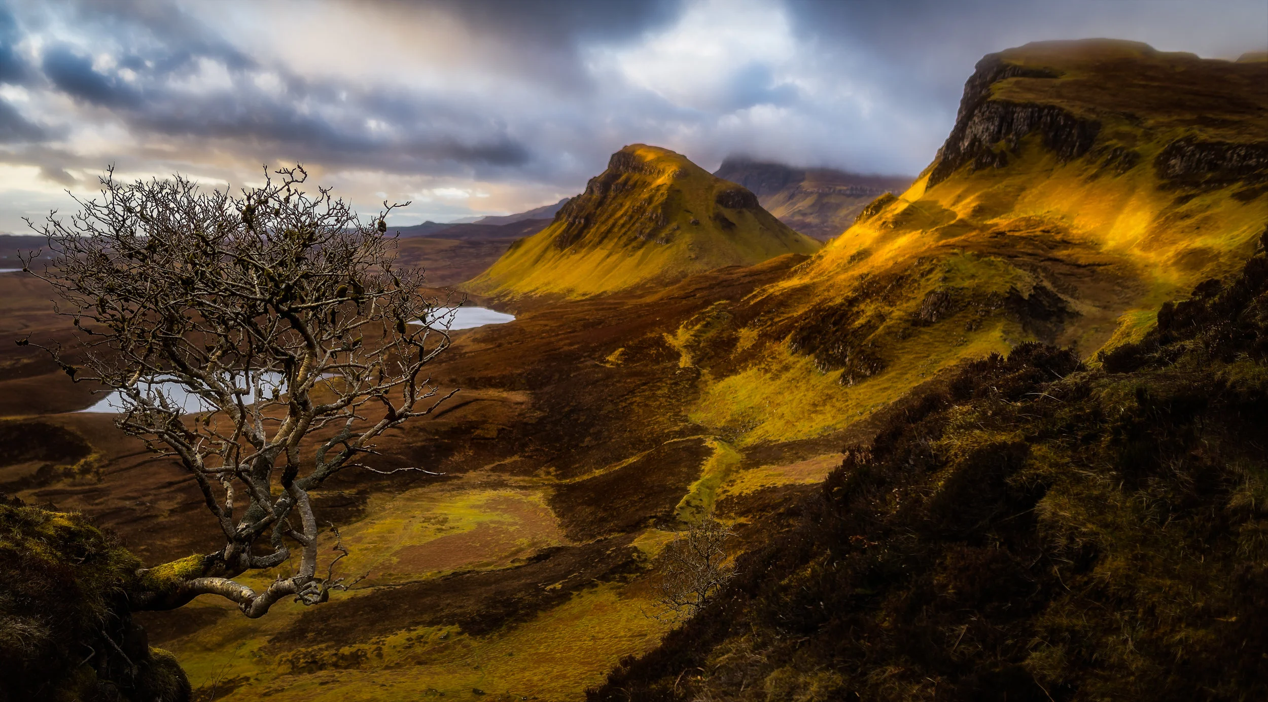 Trädet i fokus. Bländare 2,8. The Quiraing. Nikon 850/Tamron SP 15-30mm f/2.8 Di VC USD