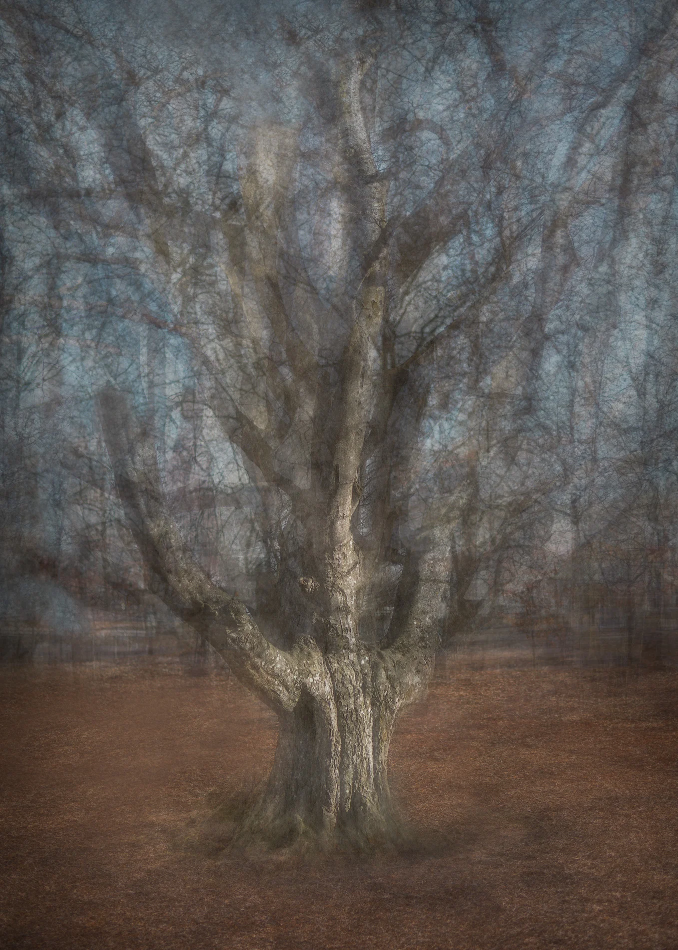 Impressions 4 -Burdon