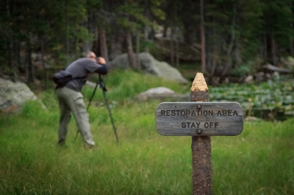 Copyright: Nature First