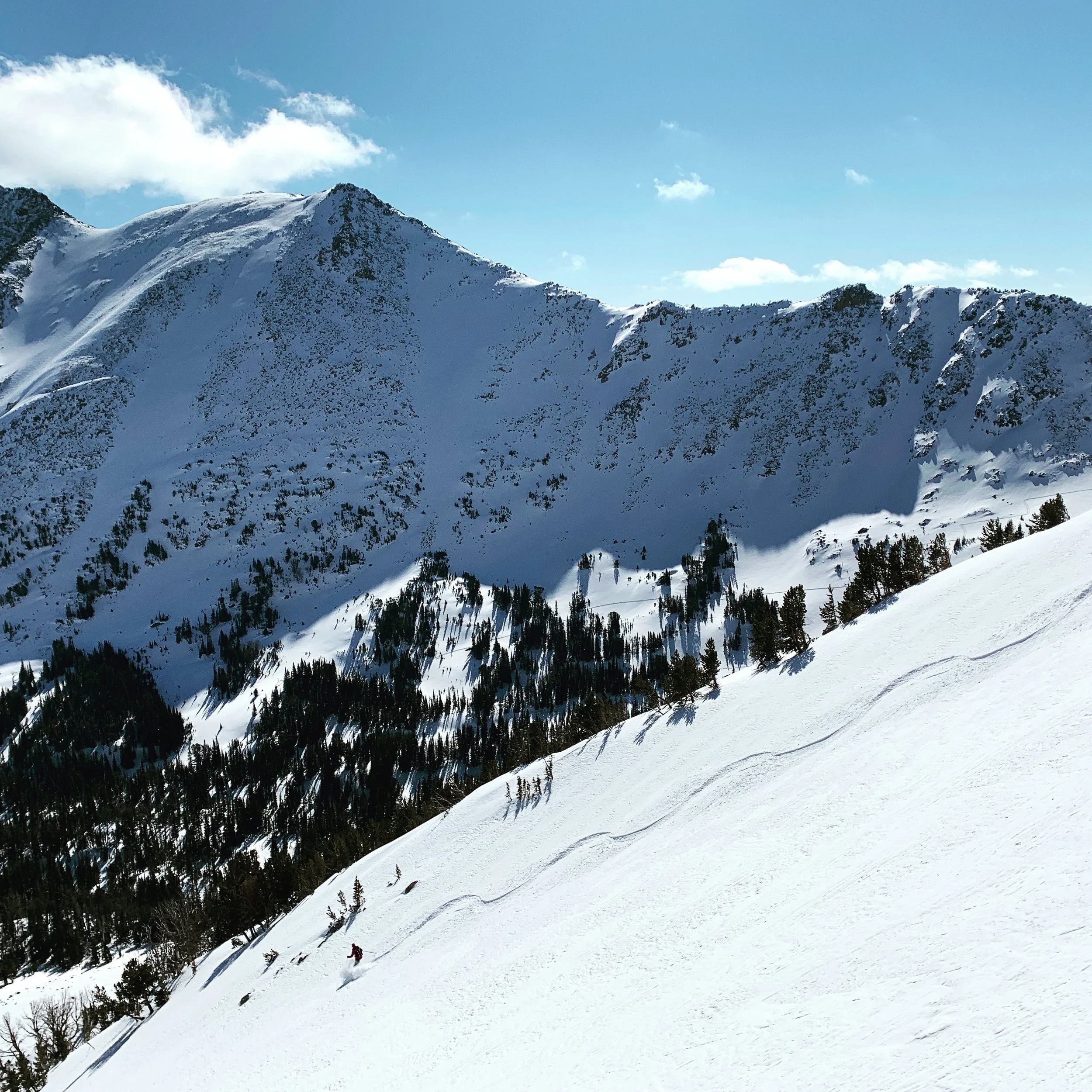 Explore backcountry skiing