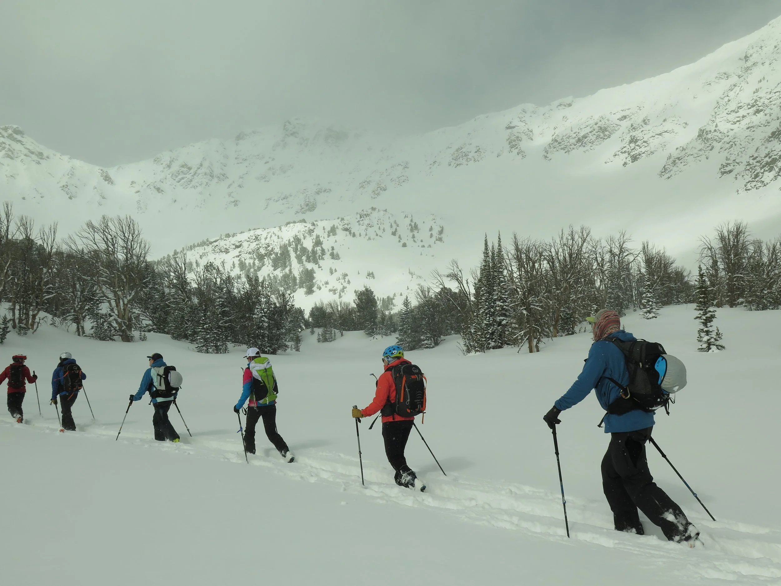 Explore backcountry skiing and splitboarding